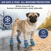 image:imageSpark Paws 365 Dog Shoes  AllSeason Boots for Winter Snow amp Hot Pavement365 Blue