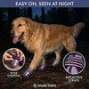 image:imageSpark Paws 365 Dog Shoes  AllSeason Boots for Winter Snow amp Hot Pavement365 Purple