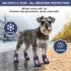 image:imageSpark Paws 365 Dog Shoes  AllSeason Boots for Winter Snow amp Hot Pavement365 Purple