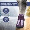 image:imageSpark Paws 365 Dog Shoes  AllSeason Boots for Winter Snow amp Hot Pavement365 Purple