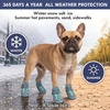image:imageSpark Paws 365 Dog Shoes  AllSeason Boots for Winter Snow amp Hot Pavement365 Teal