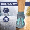 image:imageSpark Paws 365 Dog Shoes  AllSeason Boots for Winter Snow amp Hot Pavement365 Teal