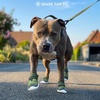 image:imageSpark Paws 365 Dog Shoes  AllSeason Boots for Winter Snow amp Hot PavementGreen