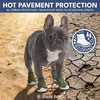 image:imageSpark Paws 365 Dog Shoes  AllSeason Boots for Winter Snow amp Hot PavementGreen