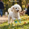 image:imageSpark Paws 365 Dog Shoes  AllSeason Boots for Winter Snow amp Hot PavementGreen Yellow