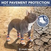 image:imageSpark Paws 365 Dog Shoes  AllSeason Boots for Winter Snow amp Hot PavementOrange Blue