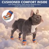 image:imageSpark Paws 365 Dog Shoes  AllSeason Boots for Winter Snow amp Hot PavementOrange Blue