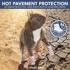 image:imageSpark Paws 365 Dog Shoes  AllSeason Boots for Winter Snow amp Hot PavementPink Purple