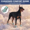 image:imageSpark Paws 365 Dog Shoes  AllSeason Boots for Winter Snow amp Hot PavementTurquoise