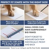 image:imageSpark Paws 365 Dog Shoes  AllSeason Boots for Winter Snow amp Hot PavementTurquoise