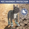 image:imageSpark Paws 365 Dog Shoes  AllSeason Boots for Winter Snow amp Hot PavementTurquoise