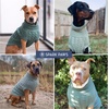 image:imageSpark Paws Christmas Knit Dog Sweater  Ultra Soft Warm Winter Dog SweaterPine Green Cableknit