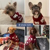image:imageSpark Paws Christmas Knit Dog Sweater  Ultra Soft Warm Winter Dog SweaterPolar Bear