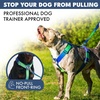image:imageSpark Paws Comfort Control No Pull Dog Harness  Heavy Duty Front ClipLime Wave