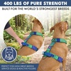 image:imageSpark Paws Comfort Control No Pull Dog Harness  Heavy Duty Front ClipLime Wave