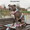image:imageSpark Paws Comfort Control No Pull Dog Harness  Heavy Duty Front ClipPastel Icing