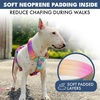 image:imageSpark Paws Comfort Control No Pull Dog Harness  Heavy Duty Front ClipPastel Icing