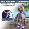 image:imageSpark Paws Comfort Control No Pull Dog Harness  Heavy Duty Front ClipPurple
