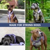 image:imageSpark Paws Comfort Control No Pull Dog Harness  Heavy Duty Front ClipPurple