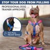 image:imageSpark Paws Comfort Control No Pull Dog Harness  Heavy Duty Front ClipSnow Cone