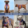 image:imageSpark Paws Comfort Control No Pull Dog Harness  Heavy Duty Front ClipSnow Cone