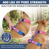 image:imageSpark Paws Comfort Control No Pull Dog Harness  Heavy Duty Front ClipSnow Cone