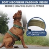 image:imageSpark Paws Comfort Control No Pull Dog Harness  Heavy Duty Front ClipSolid Green