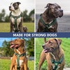 image:imageSpark Paws Comfort Control No Pull Dog Harness  Heavy Duty Front ClipSolid Green