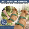 image:imageSpark Paws Comfort Control No Pull Dog Harness  Heavy Duty Front ClipSolid Green