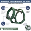 image:imageSpark Paws Comfort Control No Pull Dog Harness  Heavy Duty Front ClipSolid Green