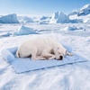 image:imageSpark Paws Cooling Couch Cover Dog Bed Furniture Protector MatHearts Blue