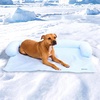 image:imageSpark Paws Cooling Couch Cover Dog Bed Furniture Protector MatWaffle Blue
