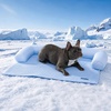image:imageSpark Paws Cooling Couch Cover Dog Bed Furniture Protector MatWaffle Blue