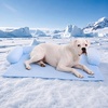 image:imageSpark Paws Cooling Couch Cover Dog Bed Furniture Protector MatWaffle Blue