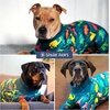 image:imageSpark Paws Dog Pajamas  Stretch Onesie Recovery Full Leg Surgery Suit PJSDinosaurs