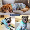 image:imageSpark Paws Dog Pajamas  Stretch Onesie Recovery Full Leg Surgery Suit PJSDragons