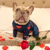 image:imageSpark Paws Dog Pajamas  Stretch Onesie Recovery Full Leg Surgery Suit PJSHearts