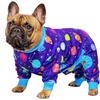 image:imageSpark Paws Dog Pajamas  Stretch Onesie Recovery Full Leg Surgery Suit PJSPlanets