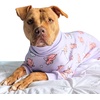 image:imageSpark Paws Dog Pajamas  Stretch Onesie Recovery Full Leg Surgery Suit PJSWhen Pigs Fly  Purple