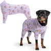 image:imageSpark Paws Dog Pajamas  Stretch Onesie Recovery Full Leg Surgery Suit PJSWhen Pigs Fly  Purple