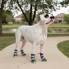 image:imageSpark Paws Dog Rainboots Waterproof Dog Shoes  Gray Camo Size 7Gray Camo