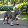 image:imageSpark Paws Dog Rainboots Waterproof Dog Shoes  Gray Camo Size 7Pink