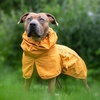 image:imageSpark Paws Dog Raincoat  Waterproof Rain Jacket wHood Full Coverage01  Mustard Yellow