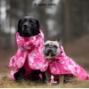 image:imageSpark Paws Dog Raincoat  Waterproof Rain Jacket wHood Full CoverageCamo Pink