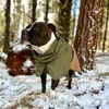 image:imageSpark Paws Dog Raincoat  Waterproof Rain Jacket wHood Full CoverageGreen Brown Tan