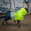image:imageSpark Paws Dog Raincoat  Waterproof Rain Jacket wHood Full CoverageNeon White Navy Blue