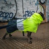image:imageSpark Paws Dog Raincoat  Waterproof Rain Jacket wHood Full CoverageNeon White Navy Blue