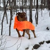 image:imageSpark Paws Dog Raincoat  Waterproof Rain Jacket wHood Full CoverageOrange