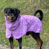 image:imageSpark Paws Dog Raincoat  Waterproof Rain Jacket wHood Full CoveragePurple
