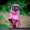 image:imageSpark Paws Dog Raincoat  Waterproof Rain Jacket wHood Full CoverageSea Pink